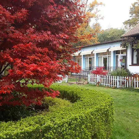 Wioska Pod Kogutem * Krepa (Piaseczno)
