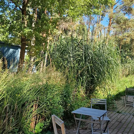 Farm stay Wioska Pod Kogutem *